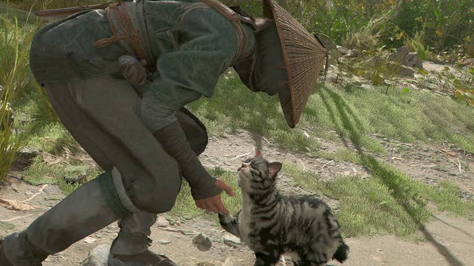 assassins creed shadows nanoe petting grey cat at temple