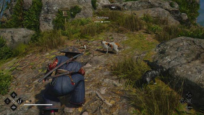 Naoe looks at a cat from a crouching position in Assassin’s Creed Shadows.