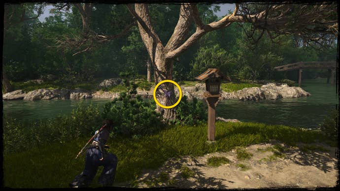 A close-up of a tree by a river in Osaka in Assassin’s Creed Shadows, with a yellow circle highlighting the location of a purple Origami Butterfly.