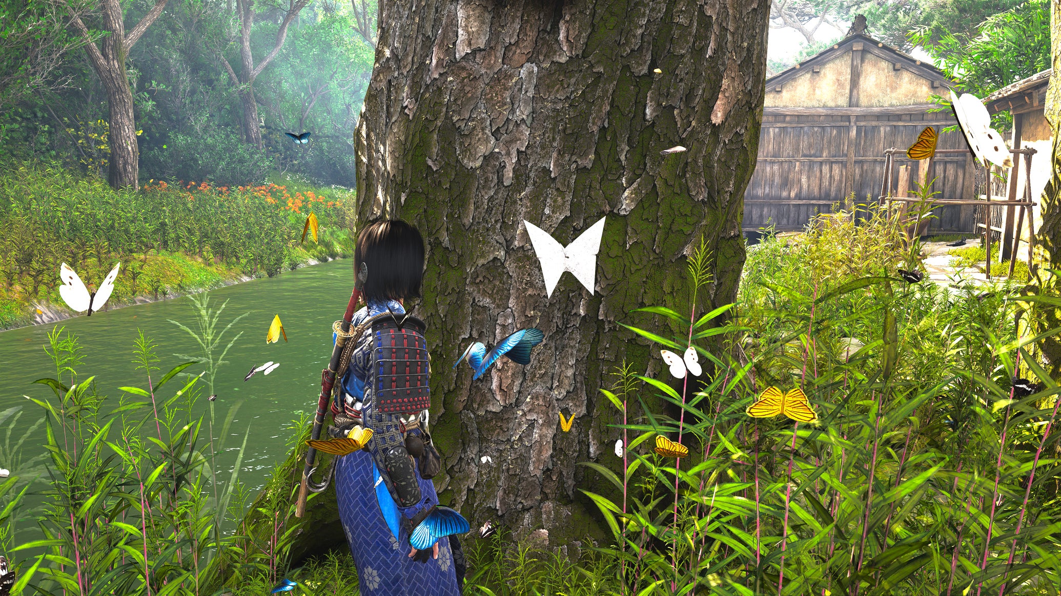 A close-up of a white Origami Butterfly on a tree in Assassin's Creed Shadows, with Naoe at the base of the tree looking at the butterfly. - 1