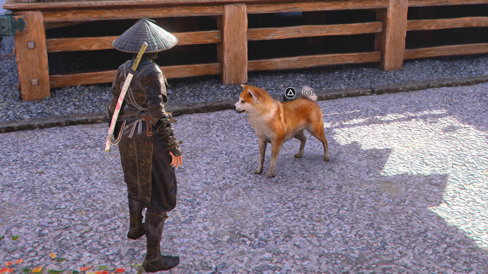 Assassin's Creed Shadows Pet locations: Find and place pets | VG247