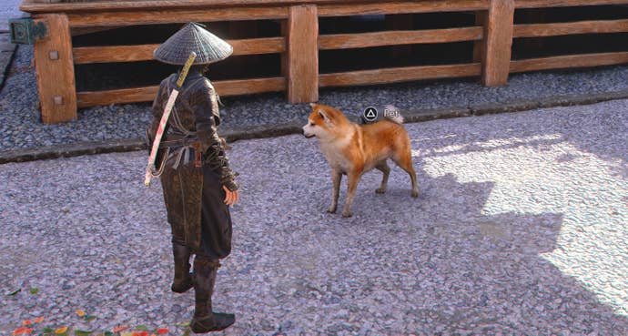 Naoe approaching a friendly golden Shiba Inu in Assassin’s Creed Shadows.