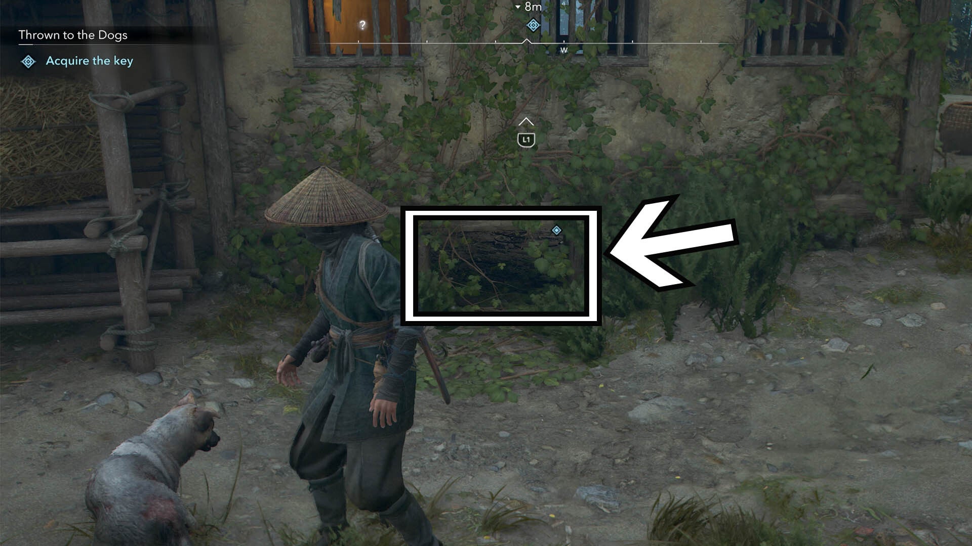 assassins creed shadows thrown to the dogs house opening for key