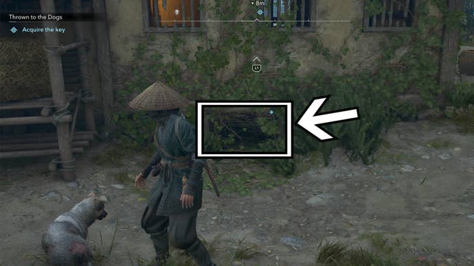 assassins creed shadows thrown to the dogs house opening for key