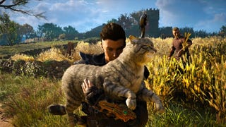 Assassin's Creed Valhalla - Katze rekrutieren fürs Langschiff, so bekommt ihr Nali
