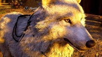 Assassin's Creed Valhalla - Guida alle cavalcature e come ottenere il Lupo Hati
