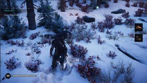 Assassin's Creed Valhalla FAQ: Reindeer Antlers, Wolf Mount, Arrows, Heal