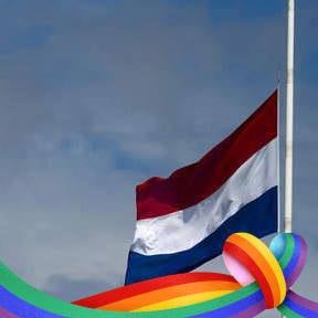 sankorteschiel avatar