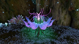 Avatar Frontiers of Pandora - sadzonki tarsyu: Chmurny Las