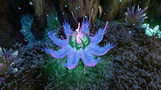Avatar Frontiers of Pandora - sadzonki tarsyu: Wyżyna