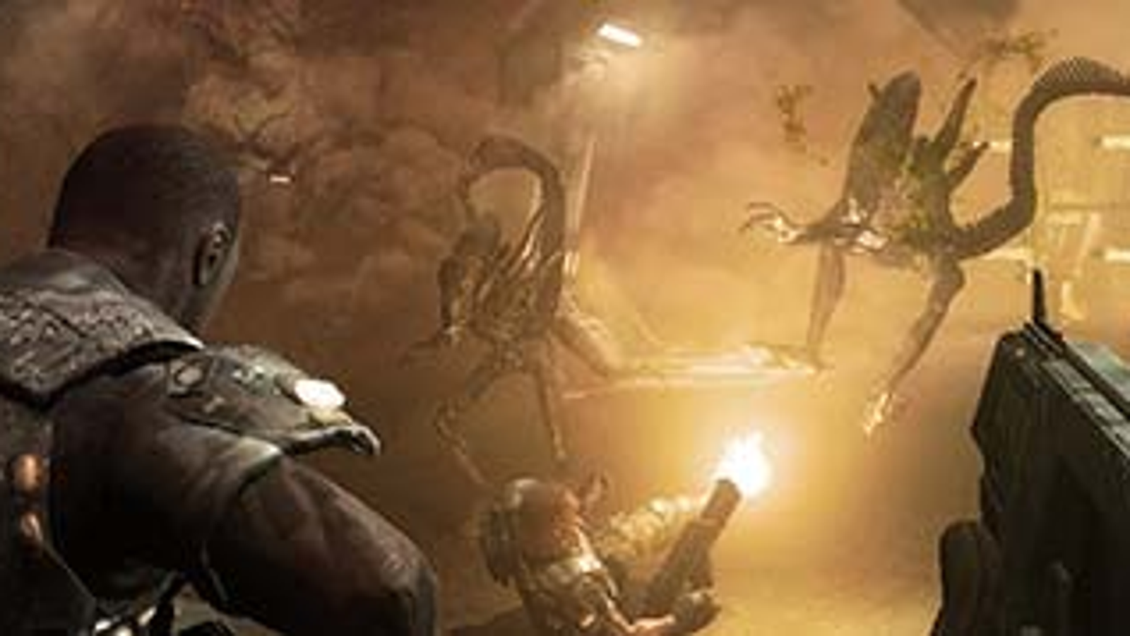 Alien Vs Predator Game Aliens Vs Predator 2010 Steam Review – Games