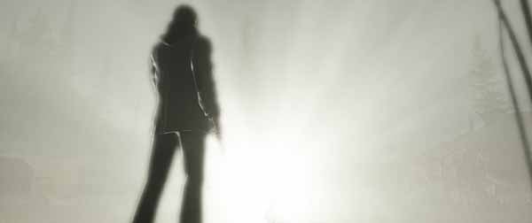 Headline With A ? In It: Alan Wake On PC?