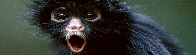 Thursday Shorts: 1000 Tiny Claws, All 4 One Gemini Wars, LucasArts, UMvC3