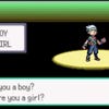Pokémon Emerald screenshot