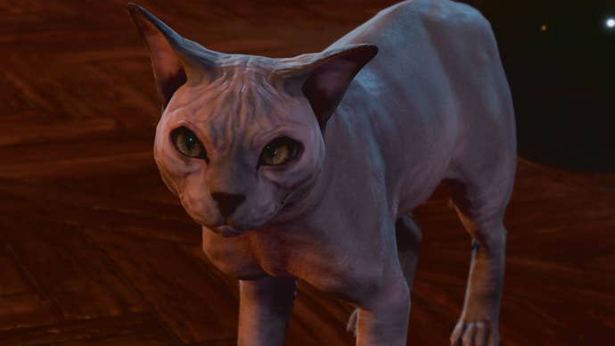 Baldur’s Gate 3 His Majesty the cat, as a bald sphynx cat