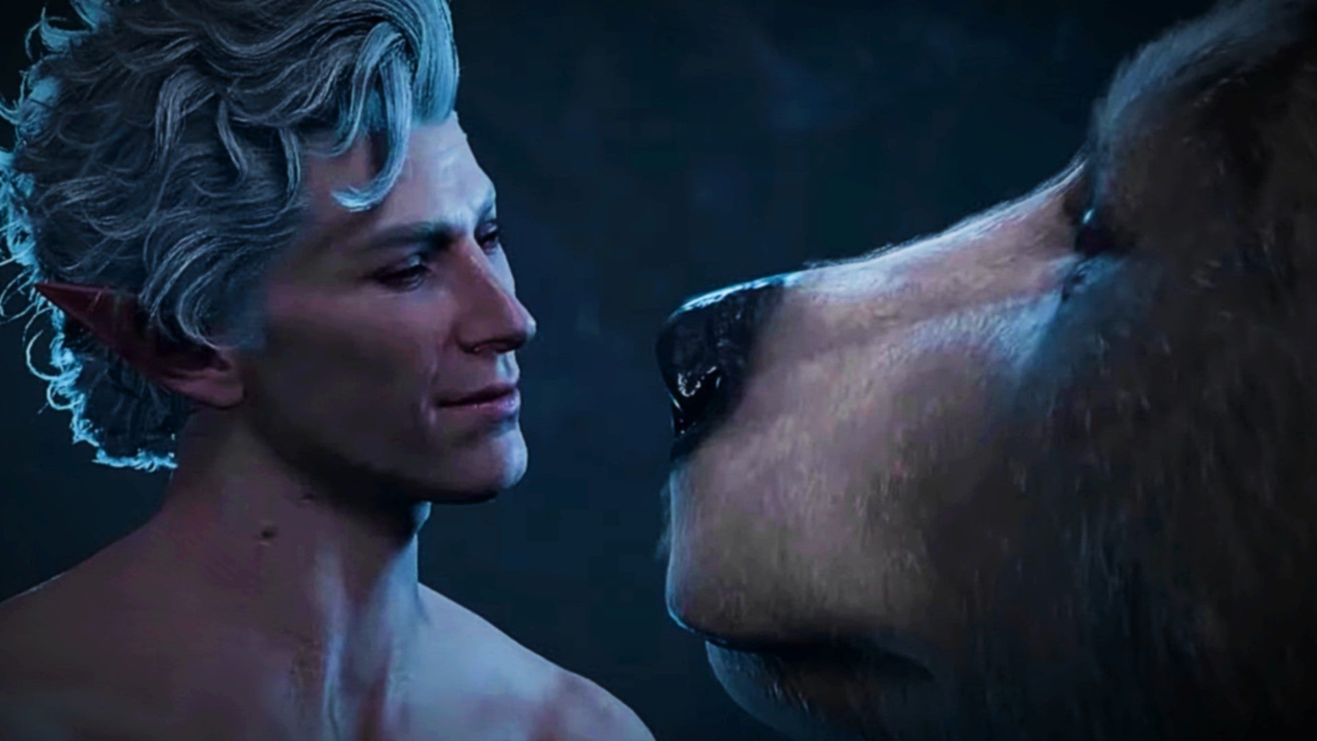 Bärensex in Baldur’s Gate 3 Der Preis für die wildeste RomanzenOption geht an Larian