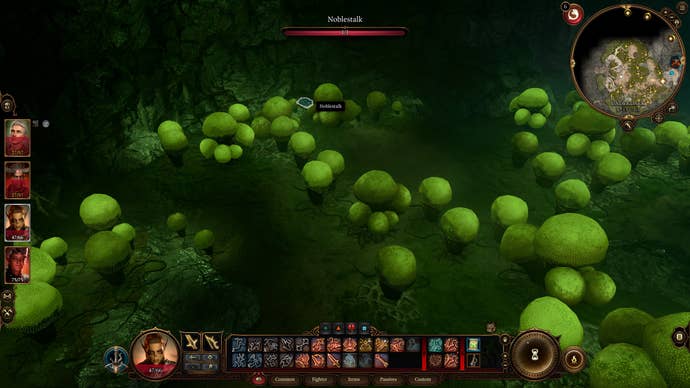 The location of a Noblestalk mushroom in Baldur's Gate 3