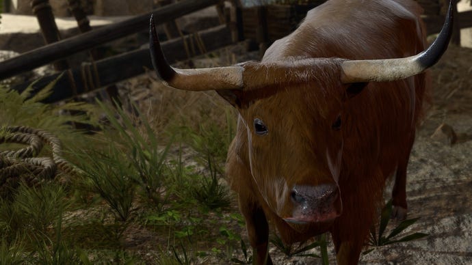 Baldur's Gate 3 Strange Ox: A brown ox with large horns and a pink nose is staring at the camera