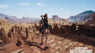 PUBG developer identifies a new cheating pattern, looking into new cheat detecting measure