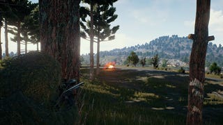 PlayerUnknown's Battlegrounds devs are working hard to address server and crash issues