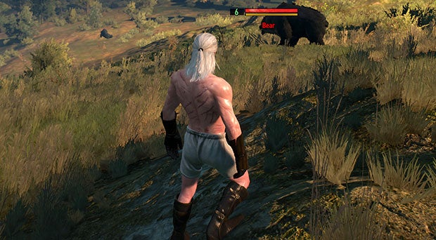 Witcher 3 naked fight | Rock Paper Shotgun