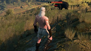 A Witcher 3 Diary, Day 3: We're Going On A Bear Hunt