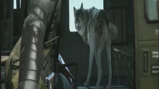 Big Boss krijgt hulp van wolf in Metal Gear Solid V