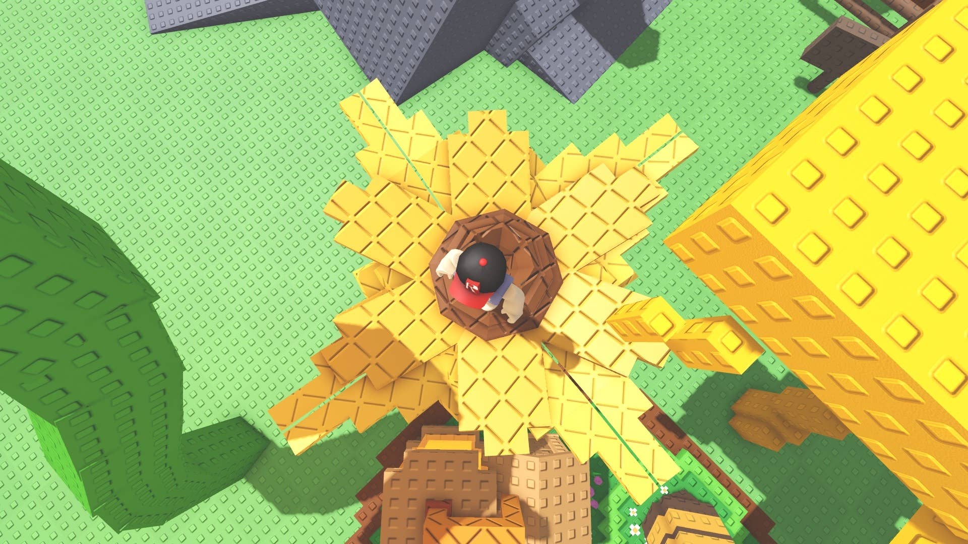 Grow A Garden: How to get Suncoil