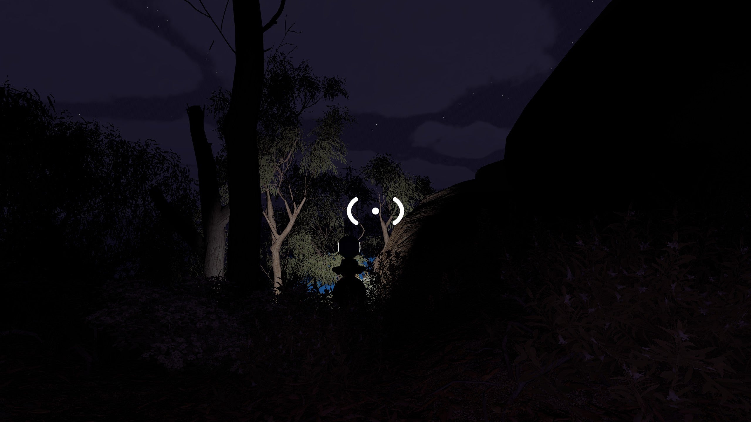 A very dark screenshot from Big Walk, showing a wood in the night time that's slightly lit by a torch-carrying individual up ahead. Hey wait for me!