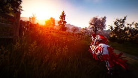 Black Desert Online is free to keep if you can level your character quickly enough