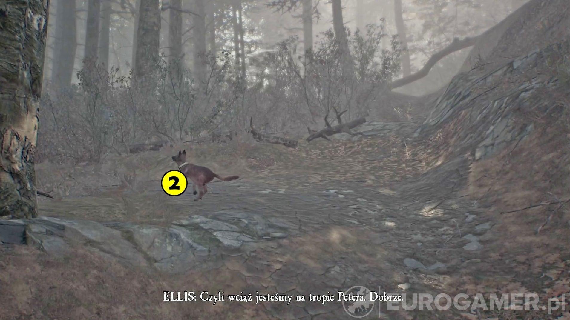 Blair Witch - Rozdział 2: zasłabnięcie, rozmowa z Jess | Eurogamer.pl