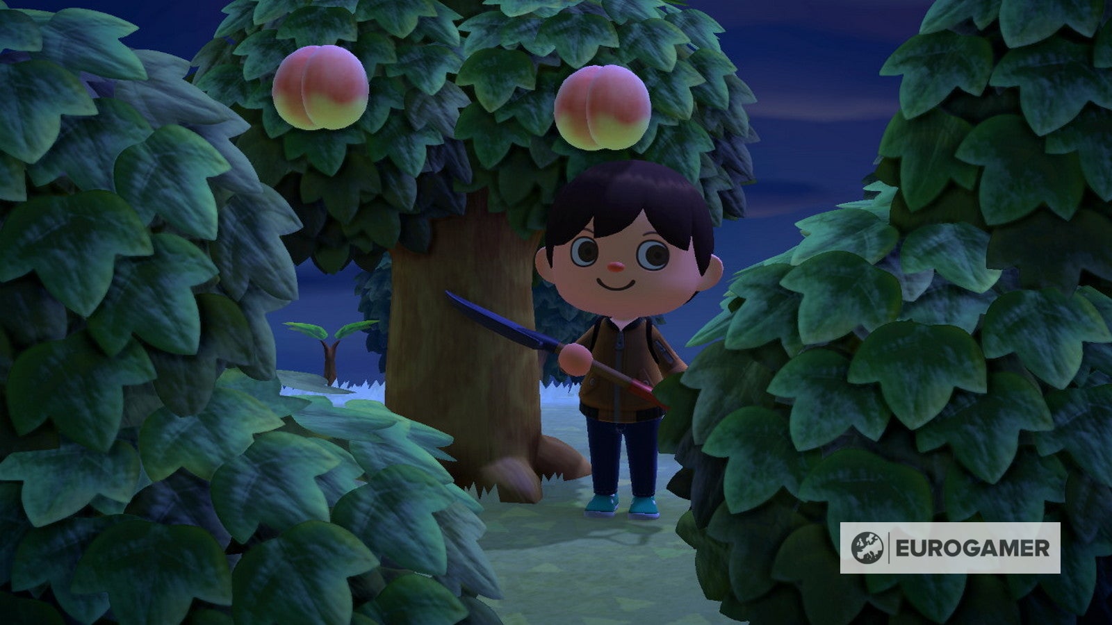 Animal Crossing New Horizons Materialien und Werkzeuge bekommen Eurogamer.de