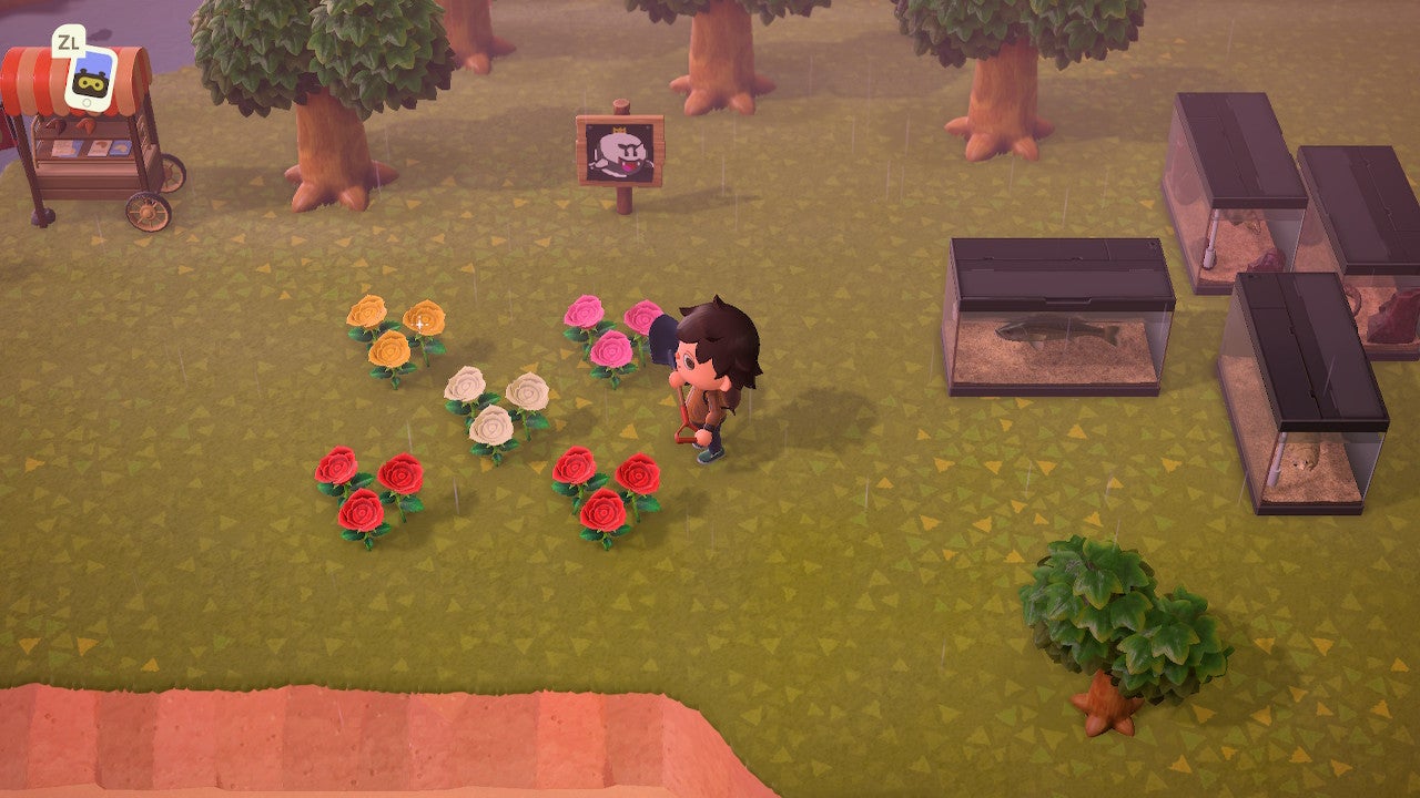Animal Crossing New Horizons Blumen kreuzen und pflanzen Eurogamer.de