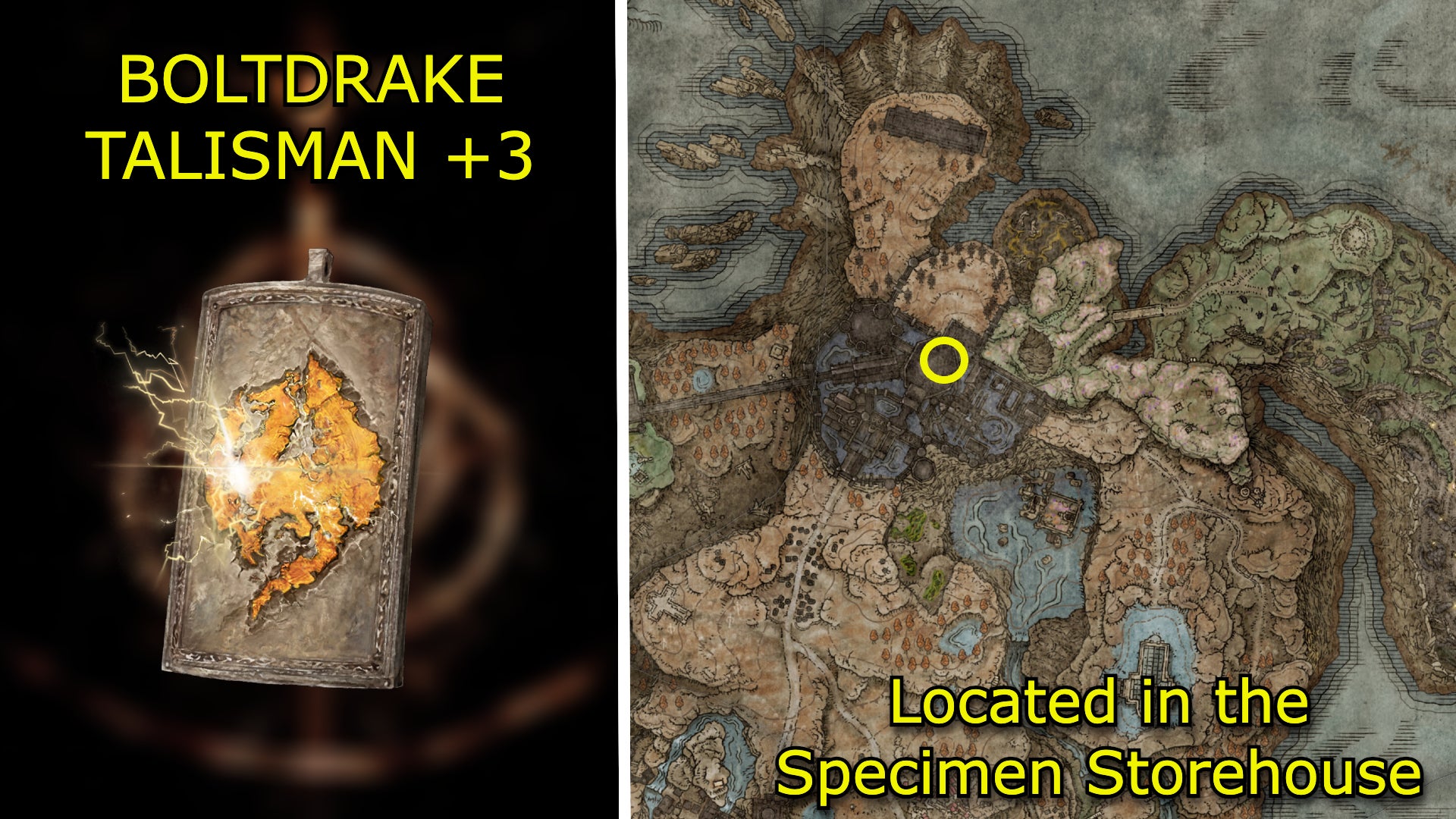 All new Talismans in Elden Ring: Shadow Of The Erdtree - 9