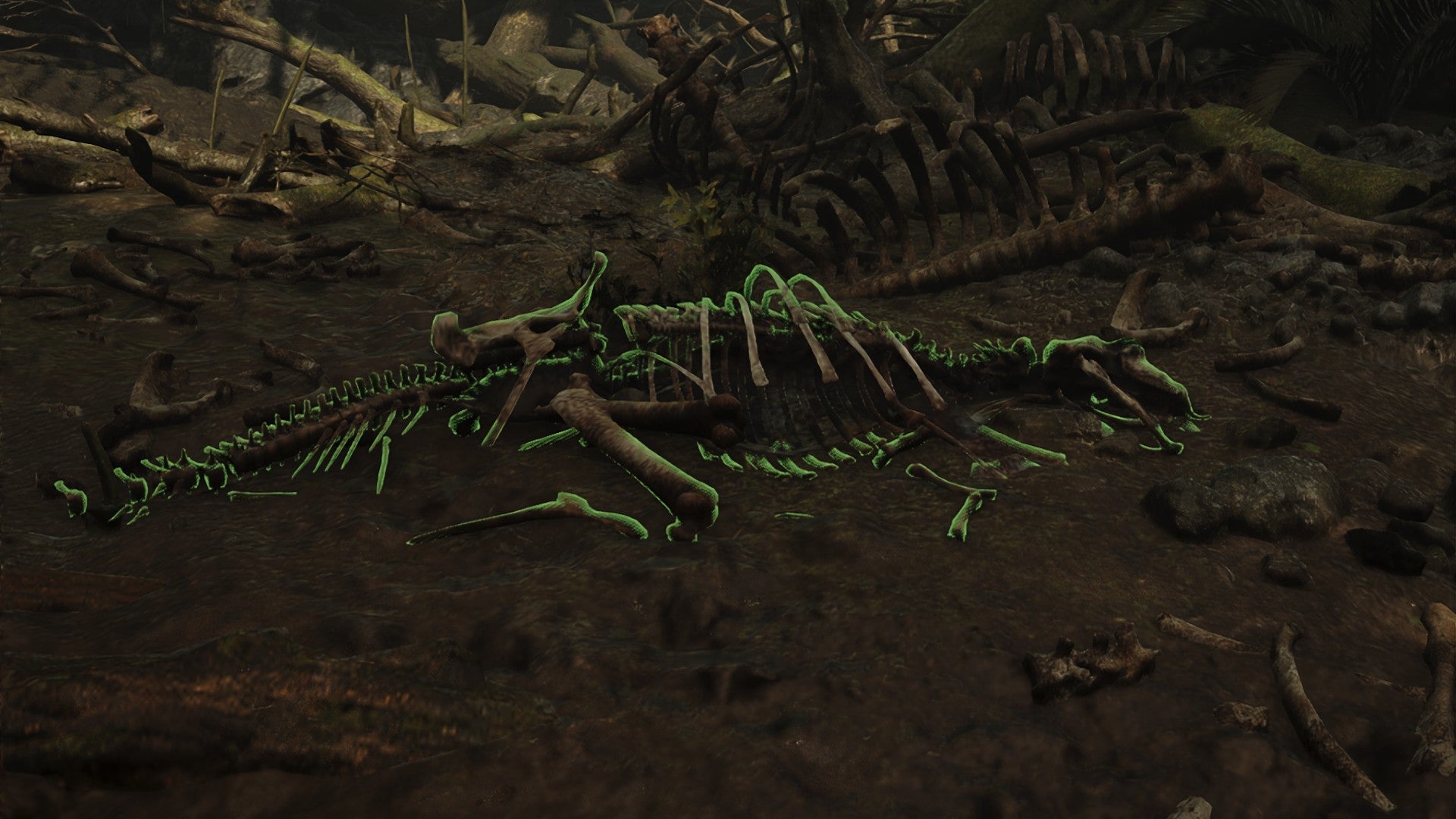 Bone Pile in Monster Hunter Wilds - 1