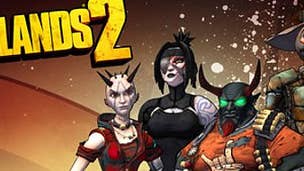 Borderlands 2 - latest DLC contains skins and heads for your characters