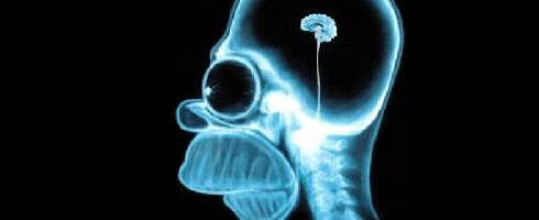 American Mensa and Empire working on brain training game