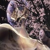 Onimusha: Dawn of Dreams artwork