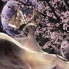 Artworks zu Onimusha: Dawn of Dreams