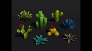 Look At These Lovely Desert Succulents