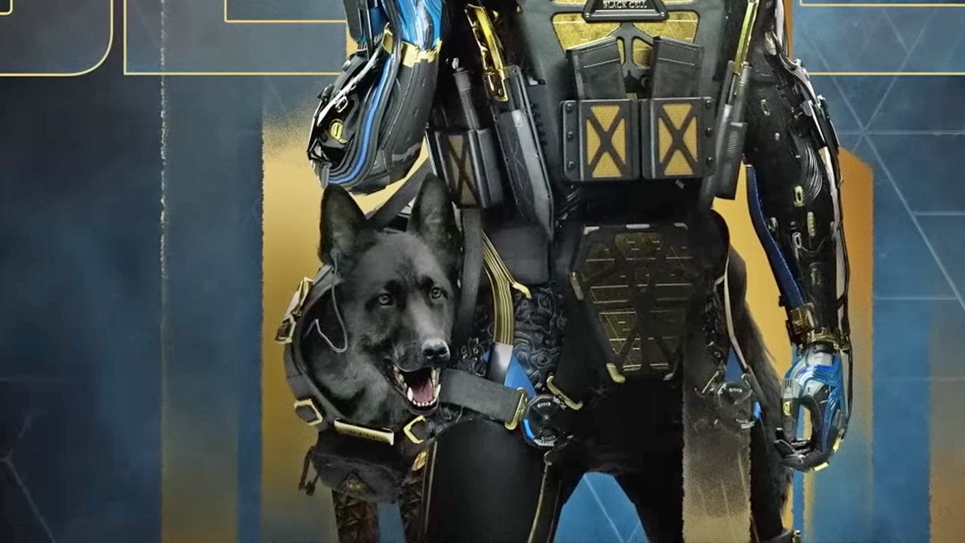Cod Mw1 Dogs Call of Duty Modern Warfare 2 - Poradnik, Solucja | Eurogamer.pl