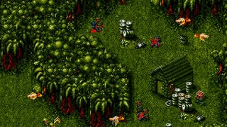 Have You Played... Cannon Fodder?