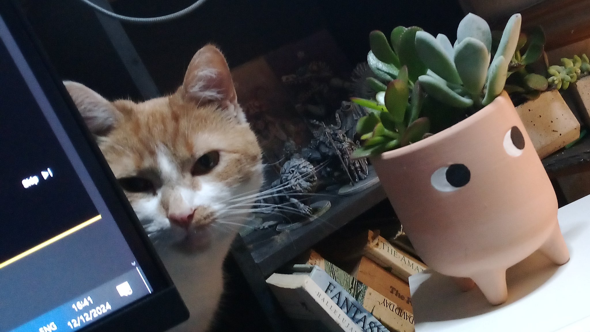 My cat on my desk. - 4
