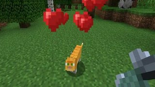 D'Ore: Minecraft Introducing Cats, Cat Love