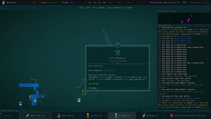 The player’s hostile twin, “Evil Borkubine” is attacking.