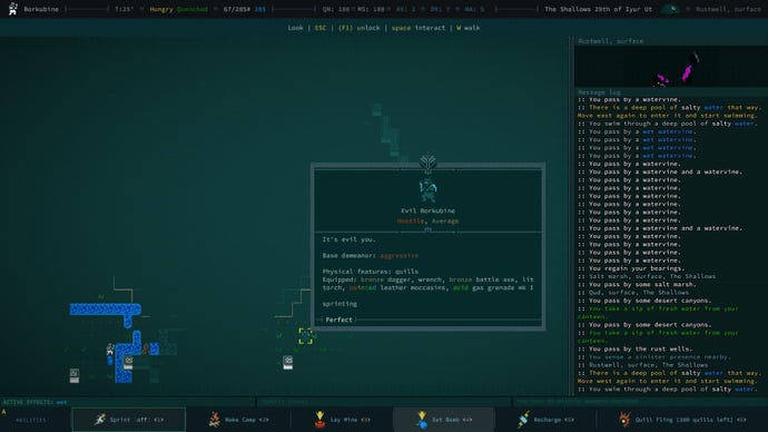 The player’s hostile twin, “Evil Borkubine” is attacking.