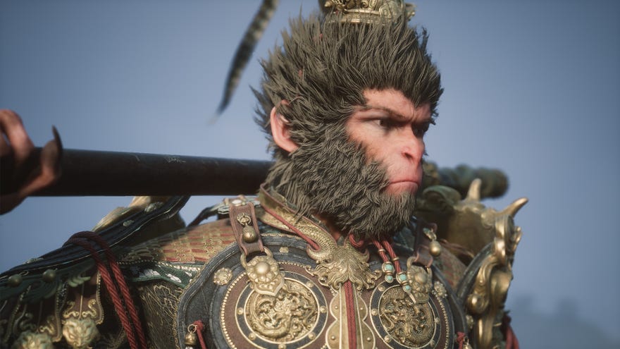 The protagonist of Black Myth Wukong.