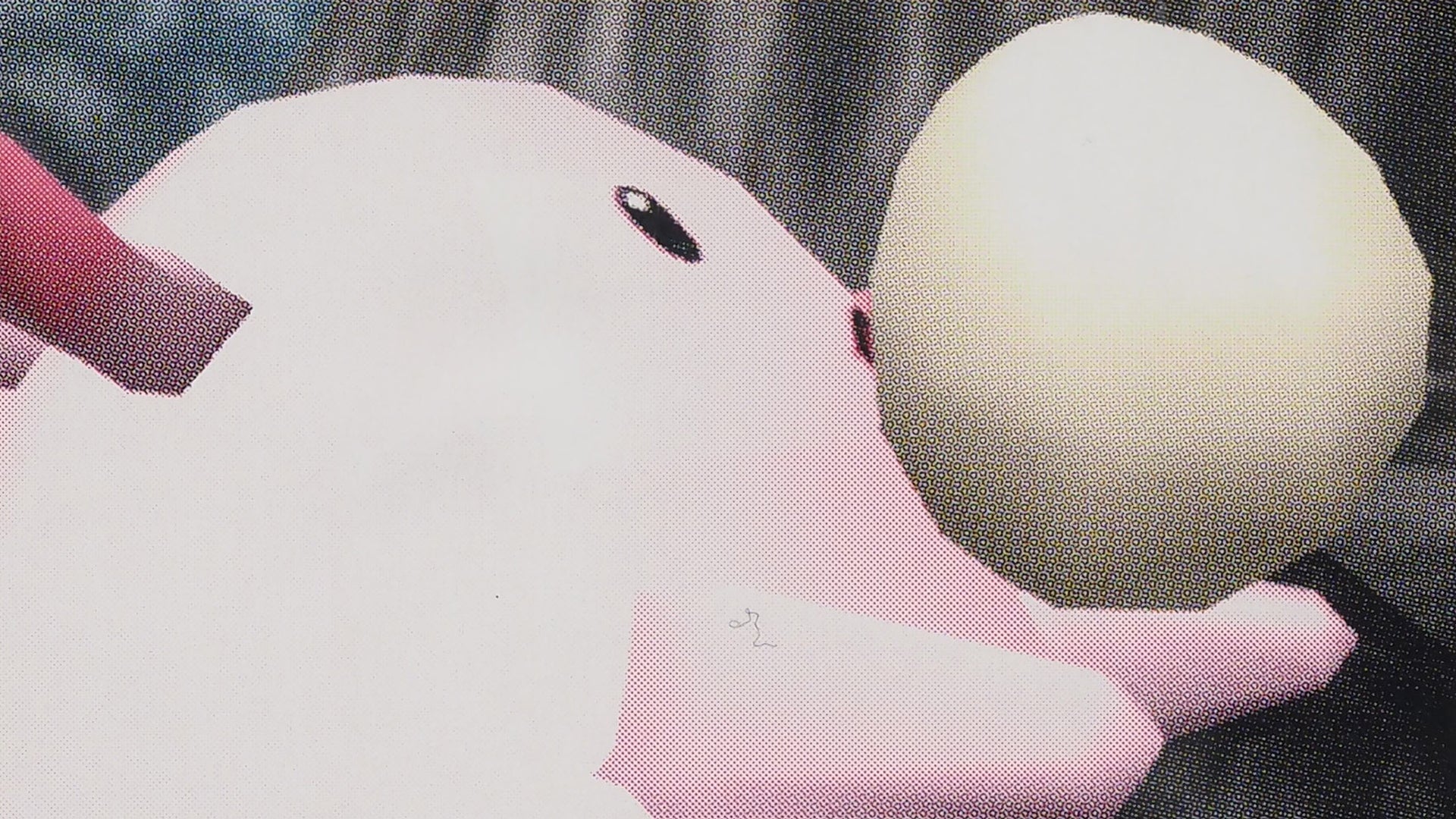Rare Pokmon Snap Chansey card auctioned off for over $60,000 | Dicebreaker Rare Pokmon Snap Chansey card auctioned off for over $60,000 | Dicebreaker