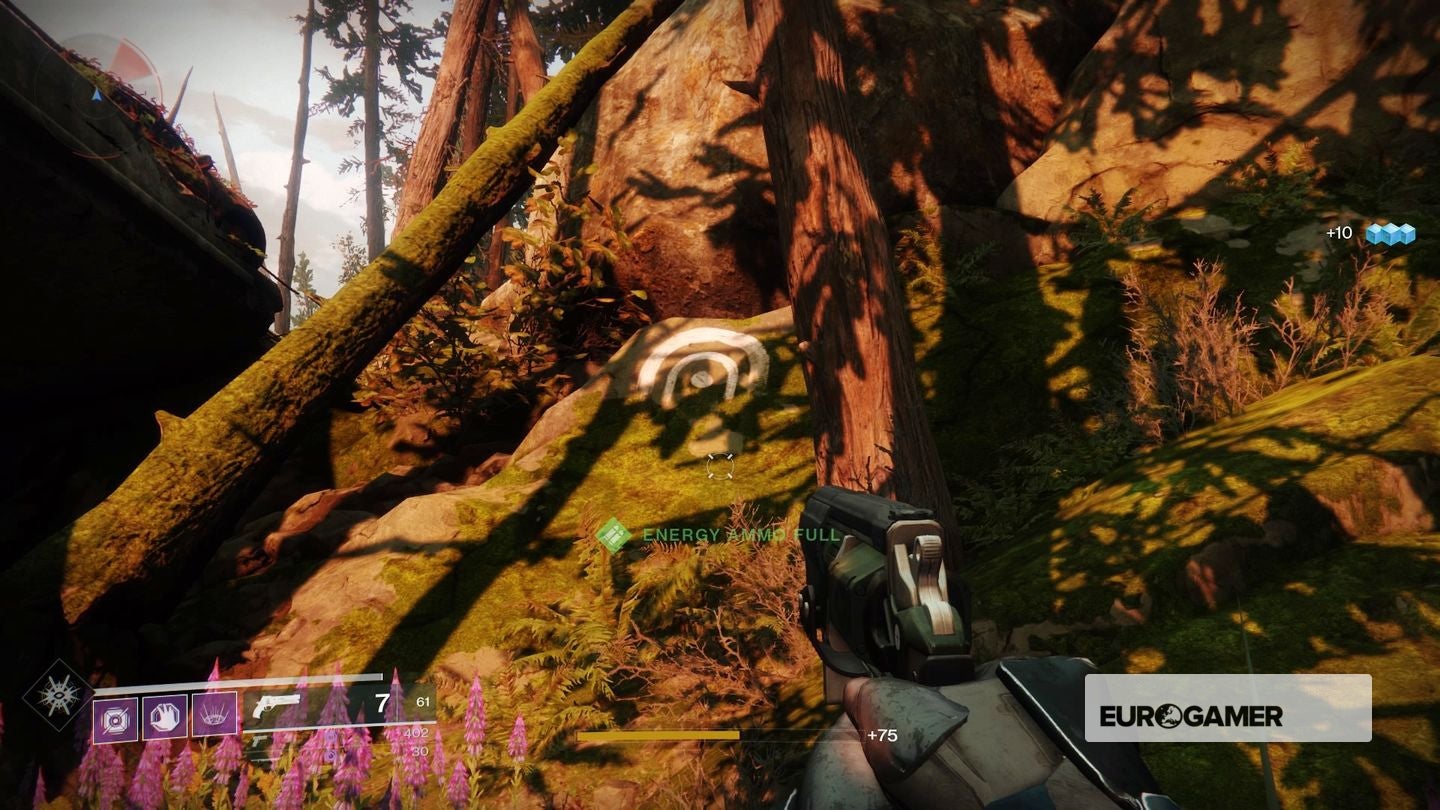 Destiny 2 - The Weep, Flooded Chasm locations in Winding Cove, The ...