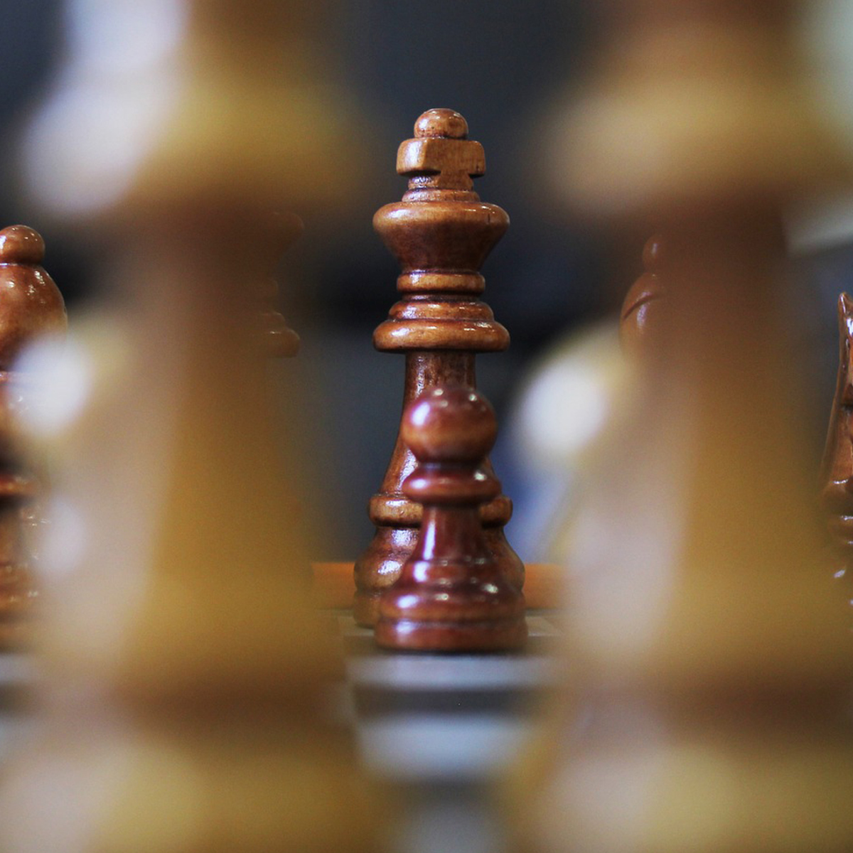 Fake Chess inserts its own anal beads scandal with expansion to surreal chess RPG | Dicebreaker Fake Chess inserts its own anal beads scandal with expansion to surreal chess RPG | Dicebreaker